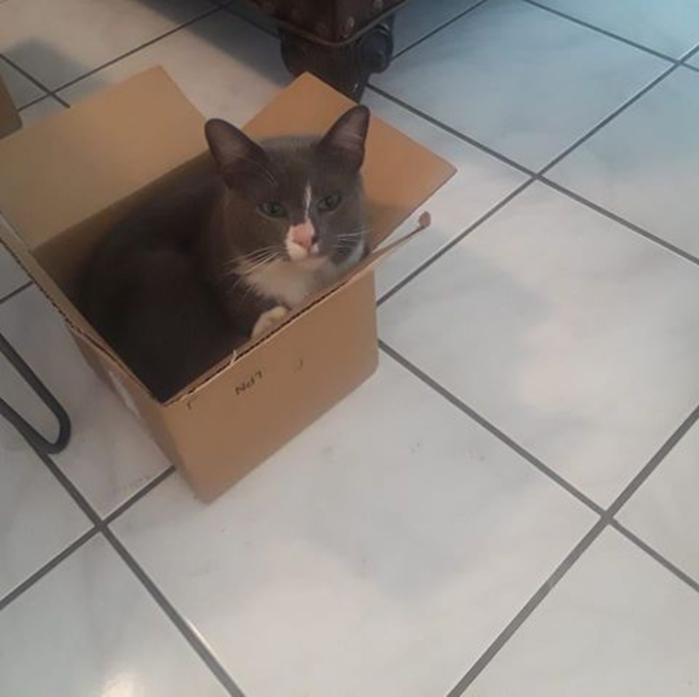 Meet your Posher, Richard